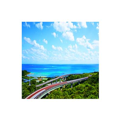 ふるさと納税 南城市 沖縄県産ノニ100%使用　ノニパワーカプセル |  | 01
