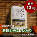 【ふるさと納税】【無肥料無農薬】瀬戸内三原 羊飼いのこしひかり 12kg（白米） 002013