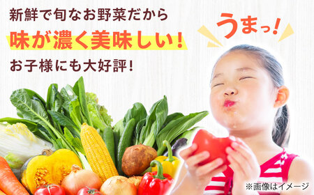 【数量限定・先行予約5】厳選！旬を味わう高槻野菜詰合せセット（10種～15種）【2024年5月発送】