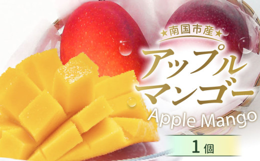 【先行予約】高知県南国市産／完熟アップルマンゴー1個（2026年6月〜発送）【マンゴー フルーツ くだもの デザート 高評価 厳選 高級 ギフト 贈り物 人気 おすすめ】【マンゴー アップルマンゴー フルーツ 果物 くだもの 食品  高評価 厳選 高級 ギフト 贈り物 人気 おすすめ 】