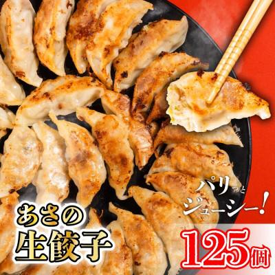 ふるさと納税 松山市 あさの生餃子 【25個入×5パック 計125個】