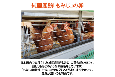 AJ013-1　純国産鶏【さくらともみじ】純たまご25個
