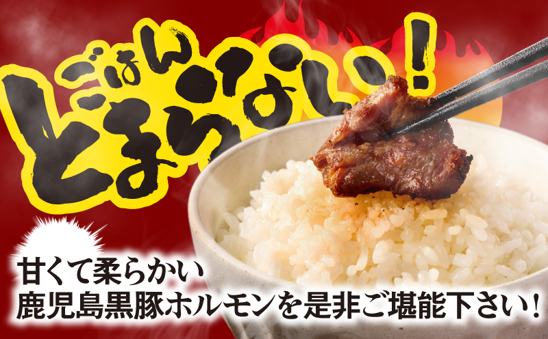 2290 鹿児島黒豚 みそホルモンミックス 2kg（200g×10パック）　KN054-010
