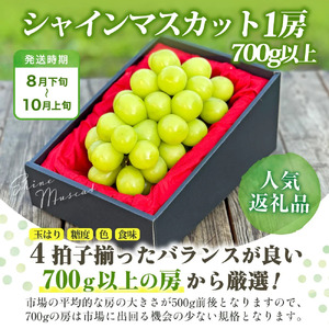 【2026年発送★先行予約】山梨県産 大房 シャインマスカット1房（700g以上） 180-001