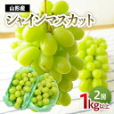 【ふるさと納税】山形のぶどう シャインマスカット 1kg以上(2房) 【令和7年産先行予約】FS24-573 くだもの 果物 フルーツ 山形 山形県 山形市 お取り寄せ 2025年産
