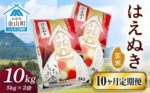 
令和6年産《定期便》 金山産米 はえぬき【玄米】（5kg×2袋）×10ヶ月計100kg 定期便 10ヶ月 米 お米 ご飯 玄米 ブランド米 送料無料 東北 山形 金山町 F4B-0530
