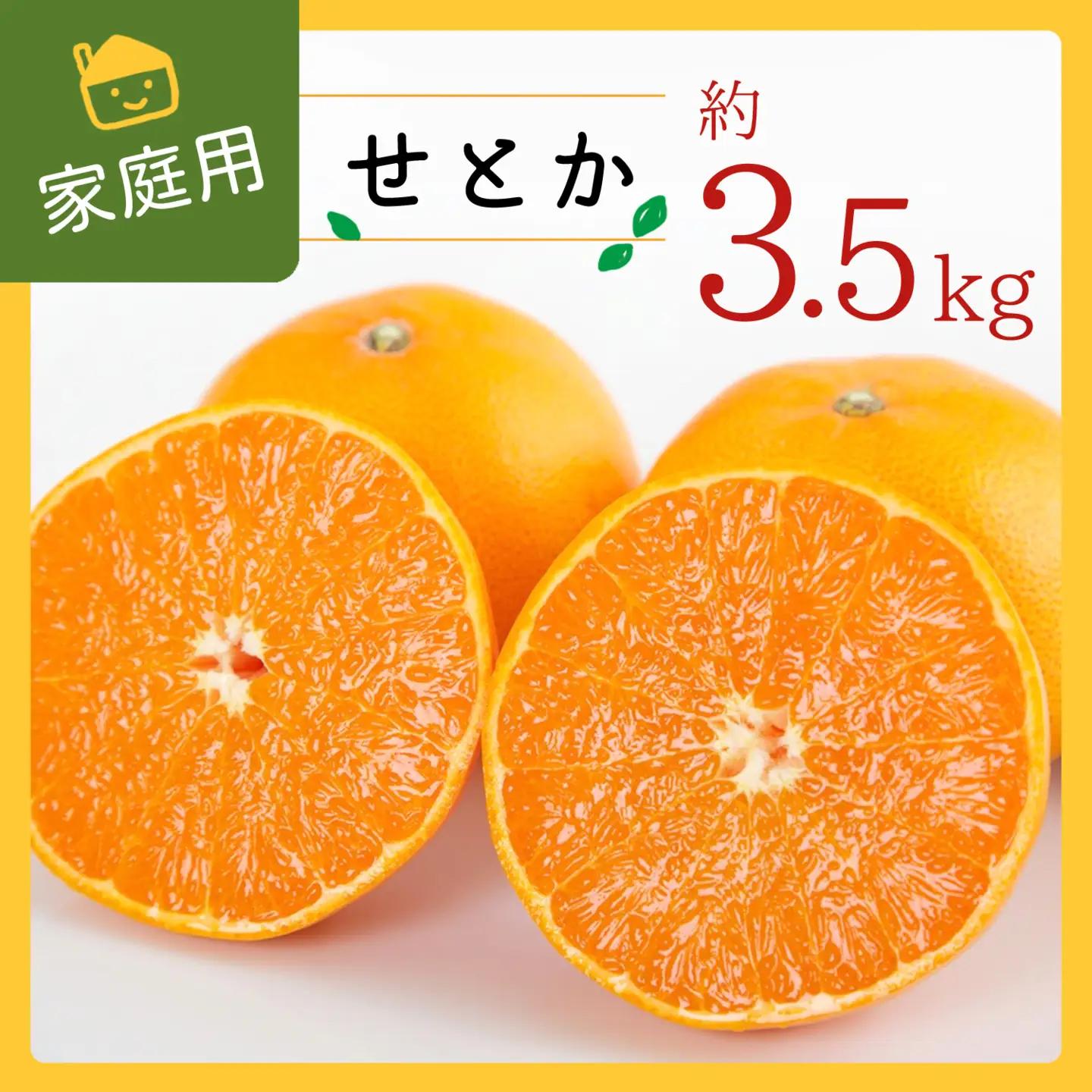 【先行受付】コウ果樹園の家庭用【せとか】約3.5kg【C33-31】【1441231】 YWTG013
