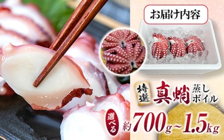 ＼大容量／ たこ 真蛸 蒸しボイル 約700g 1尾 蛸 タコ 刺身 刺し身 たこ焼き たこやき たこ飯 たこ刺し カルパッチョ 酢の物 まだこ サラダ パスタ 唐揚げ 人気 おすすめ おつまみ 海鮮