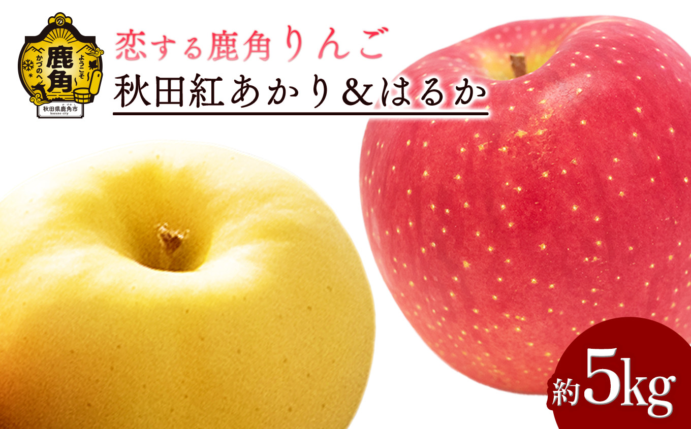 
            《先行予約》令和7年産 秋田県鹿角産りんご「秋田紅あかり＆はるか」約 5kg 詰め合わせ【恋する鹿角カンパニー】●2025年12月上旬発送開始  かづのりんご 食感 果汁 さっぱり リンゴ 完熟 旬 お歳暮 贈り物 お見舞い グルメ ギフト 故郷 秋田 あきた 鹿角市 鹿角 送料無料 
          