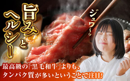 【3回定期便】GI認証 くまもとあか牛 すき焼き用 スライス 約500ｇ【山鹿市（桜屋）】[ZBO064]