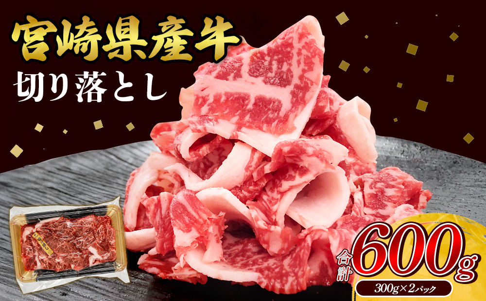 宮崎県産 黒牛 切り落とし 600g（300g×2パック） 赤身 牛肉 切り落とし 肉 お肉 牛 国産牛 小分け 真空パック コスパ 冷凍 贈答 ギフト 人気 国産 えびの市 送料無料