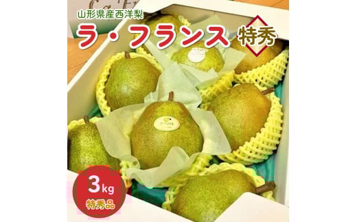 【山形セレクション認定品】西洋梨（ラ・フランス）３ｋｇ　特秀品　0010-2504