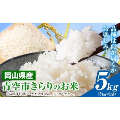 ふるさと納税 矢掛町 青空市きらりのお米 5kg《30日以内に発送予定(土日祝除く)》