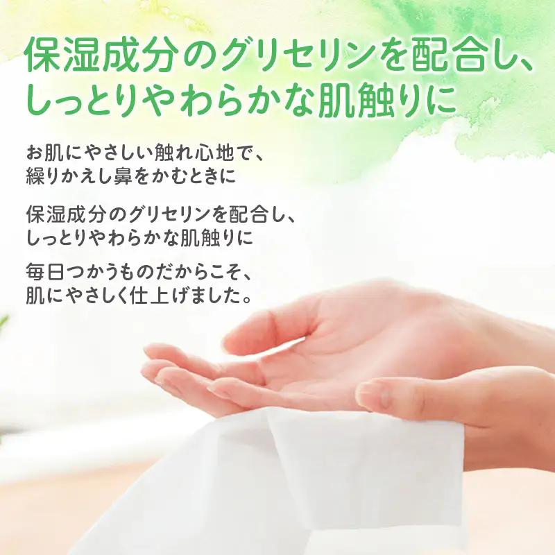 定期便 2ヵ月連続お届け エリエール ハーフサイズ 収納に便利 コンパクト 【少量5パック】 北海道 しっとりティシュー なまらたっぷり 240組3箱 5パック 計15箱 ボックスティシュー ふるさと