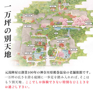 宿泊券 利用券 お食事券 【元湯陣屋】宿泊利用券60,000円分 宿泊券 高級 宿泊券 秦野市 宿泊券