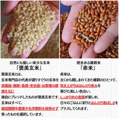 ふるさと納税 豊能町 【白米に混ぜて簡単!】国産 赤米ブレンド600g(300g×2袋入り) |  | 01