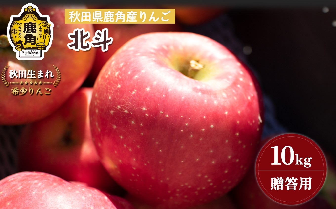 
                  《先行予約》秋田県鹿角産りんご 雪国育ちの 贈答用 北斗 10kg（24～32玉入）【山麓園】●2026年11月上旬発送開始 秋田県 鹿角産 食感 果汁 リンゴ 完熟 旬 県産 りんご お中元 お歳暮 贈り物 グルメ ギフト 故郷 秋田 あきた 鹿角市 鹿角 送料無料 
                