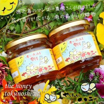 ふるさと納税 徳之島町 〜徳之島のマンゴー農家さんが作ったはちみつ〜センチュリーハニー(大)