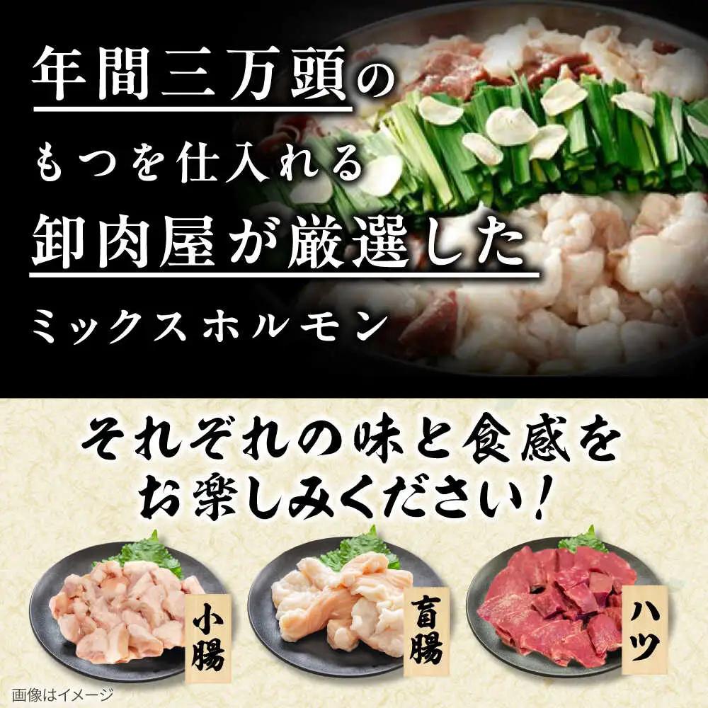 「上田商店」工場直販 もつ鍋セット(白味噌/8-10人前)[BGAD060]モツナベ