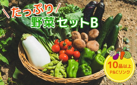 たっぷり 野菜セットB 10品 以上 季節 旬 野菜 詰め合せ 国産 季節 旬 おまかせ 産地直送 春野菜 夏野菜 秋野菜 きのこ 葉物 果物 果菜 根菜 冷蔵 野菜室 ダイエット 食 栄養食 カット野菜 岩手県産 北上産 季節限定 山菜 ブロッコリー たまねぎ さつまいも とうもろこし サラダ トマト しいたけ アスパラガス 送料無料 岩手県 北上市 C0502