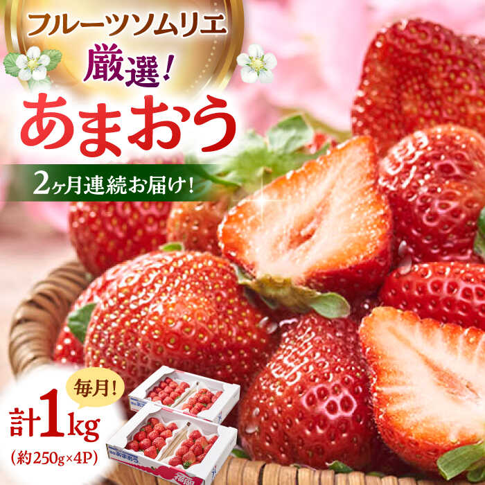 【ふるさと納税】【全2回定期便】福岡産【春】いちご あまおう4パック ▼ イチゴ 苺 福岡 あまおう 果物 フルーツ 定期便 桂川町/南国フルーツ株式会社[ADBW042]