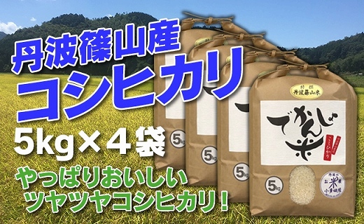 【令和7年産】お米のおいしさ伝えたい！丹波篠山産コシヒカリ5kg×4