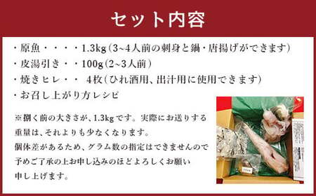 国産養殖！とらふぐ簡単調理で味わえるセット 吉宝ふぐ 1.3kg ふぐ 河豚 フグ とらふぐ トラフグ 簡単調理 刺身 鍋 から揚げ ひれ酒 出汁 3～4人前 熊本県 上天草市 【2026年10月下旬