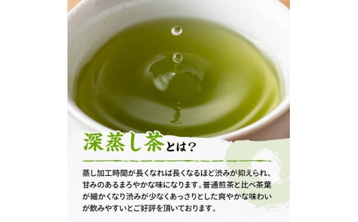 老舗六車農園産 深蒸煎茶 (赤) 100g×10袋【九州産 宮崎県産 川南町産 茶 お茶 国産茶 飲料 日本茶 飲みやすい 使いやすい】