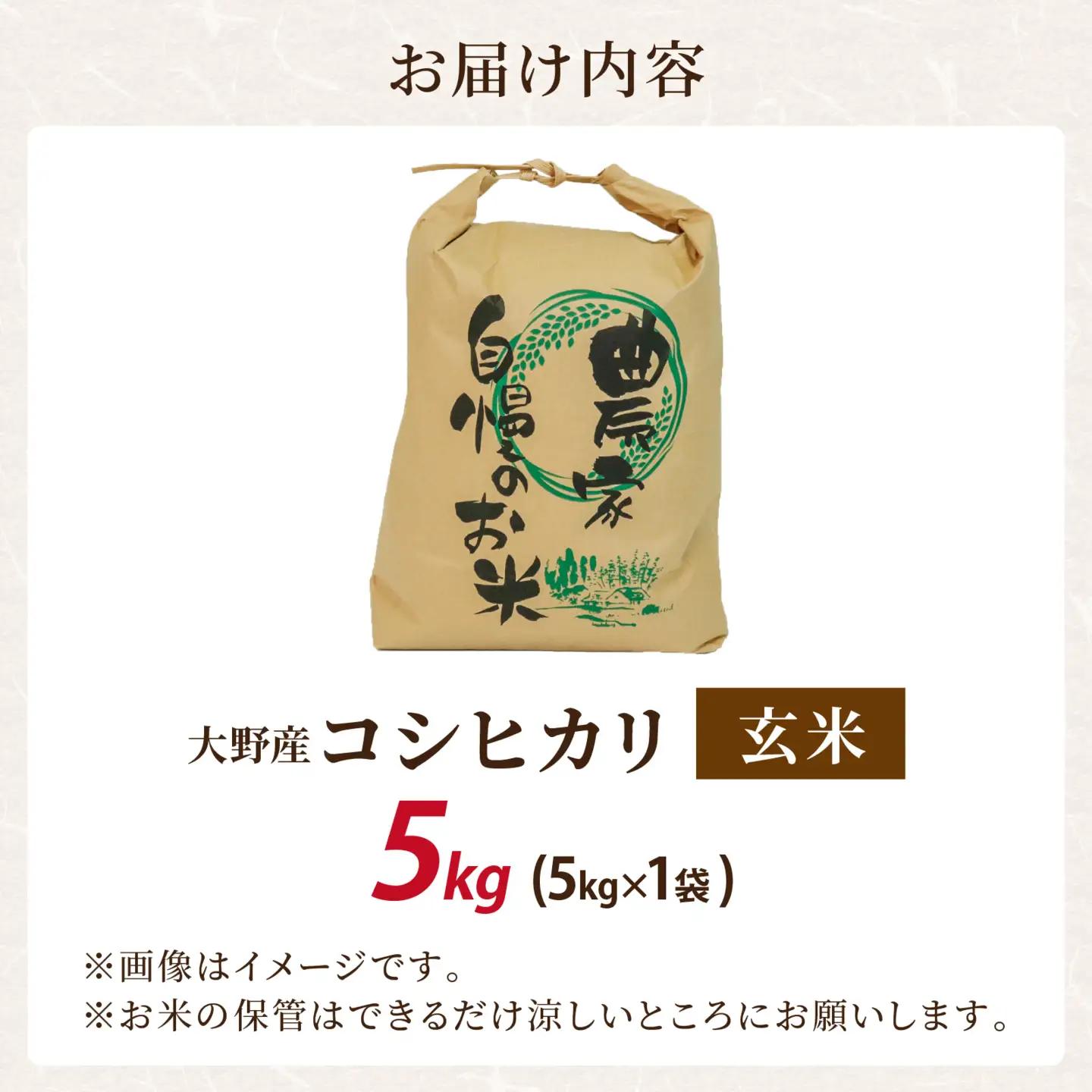 新米 こしひかり 玄米 5kg 新米 【令和8年産 先行予約】