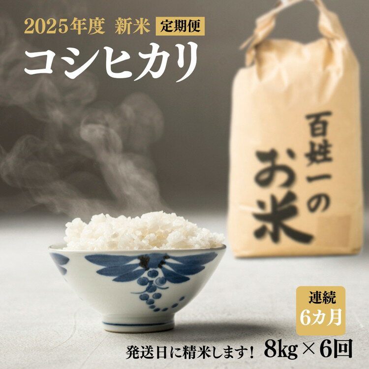 【ふるさと納税】128-1001　【6回定期便】石井町産コシヒカリ8kg×連続6カ月 ※離島への配送不可