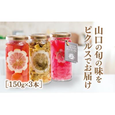 ふるさと納税 山口市 山口きららピクルス詰め合わせ　E015