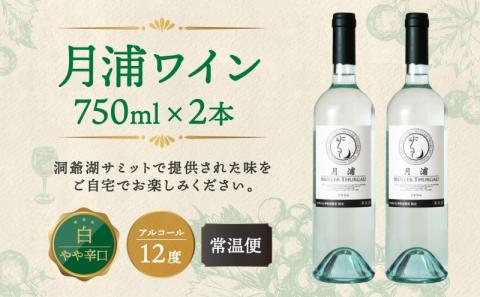 	北海道 洞爺湖町産 月浦ワイン 白 750ml×2本 ミュラートゥルガウ 白ワインお酒 アルコール ブドウ酒 自社農園 家飲み お祝い 記念日 贈答用 ギフト 月浦ワイナリー 送料無料