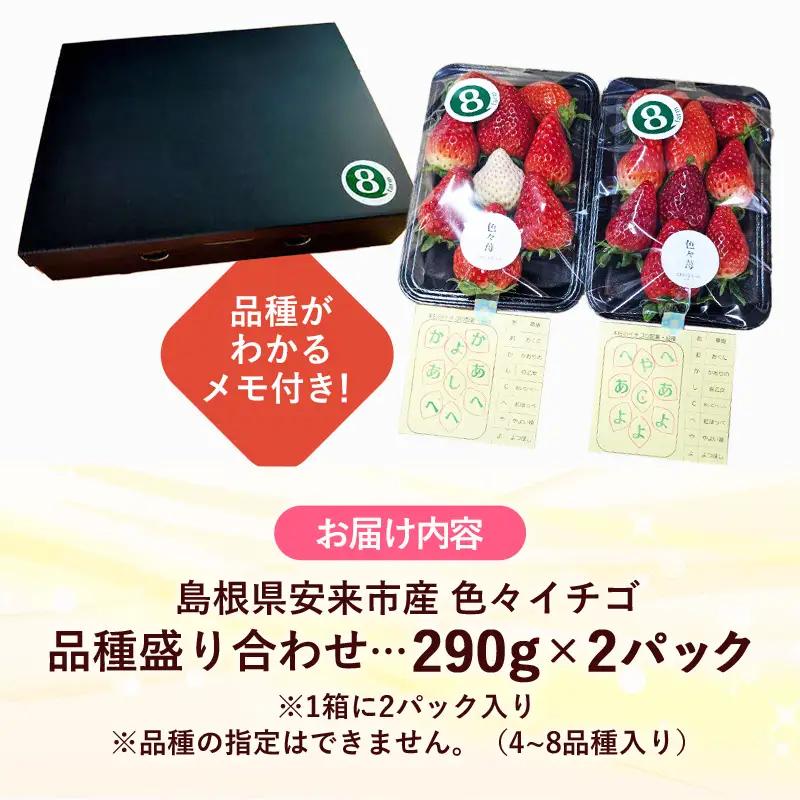 【先行予約】「色々苺」品種盛り合わせパック 品種かわかるメモ付【 食べ比べ いちご 約290g×2パック 苺 冷蔵 安来 8farm 】【13-FA-01】
