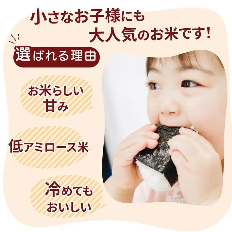 【先行予約】【定期便 9ヶ月】令和8年産 茨城県産 ミルキークイーン 精米4kg（2kg×2袋） ※2026年11月～発送