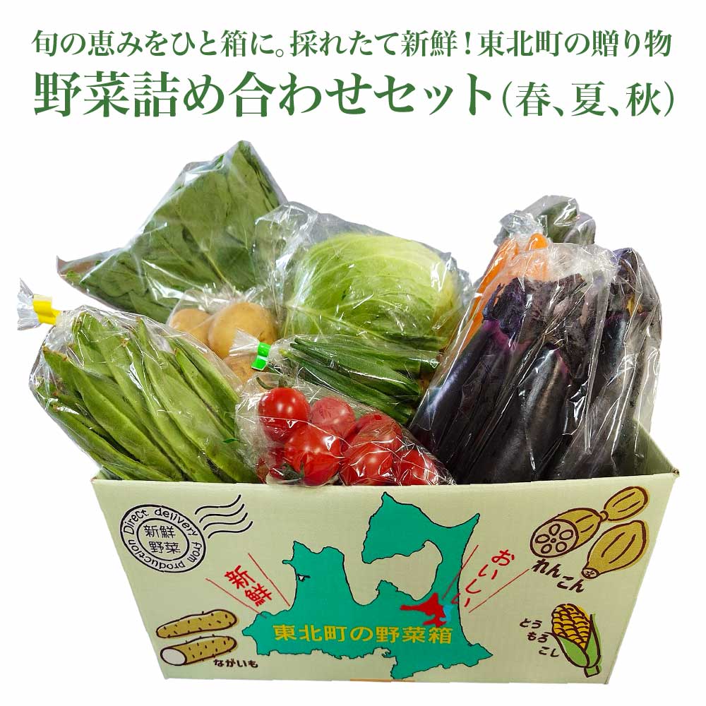 【ふるさと納税】野菜詰め合わせセット（春、夏、秋） 野菜 詰め合わせ 旬 季節 東北町 青森県 送料無料　【02408-0134】