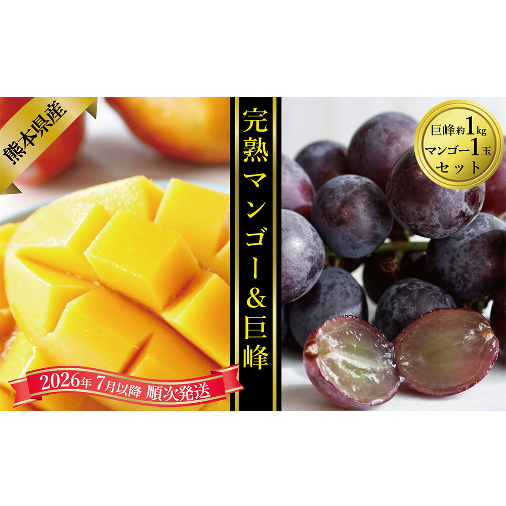 【ふるさと納税】熊本県産マンゴー（1玉）と巨峰（約1kg）のセット マンゴー 巨峰 ぶどう ブドウ 葡萄 大粒 くだもの 果物 果実 フルーツ デザート 冷蔵 国産 九州 熊本県 送料無料 【2026年7月上旬発送開始】