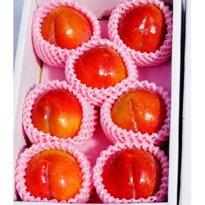ふるさと納税 上山市 すもも(秋姫)1.2kg　ご家庭用　0012-2506