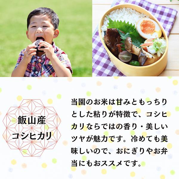 【先行予約】<令和７年産> 奥信濃飯山～木内ファームのお米～ コシヒカリ 玄米 5㎏ (7-10A) コシヒカリ玄米5ｋｇ