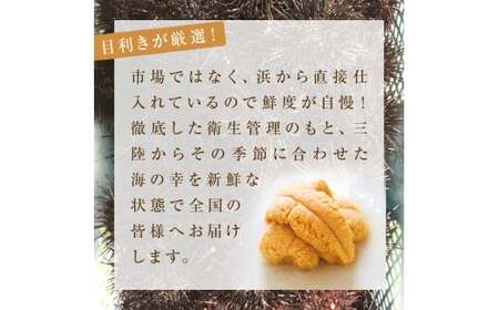 生うに 160g（80g×2）塩水 宮城県産 生ウニ 雲丹 うに ウニ