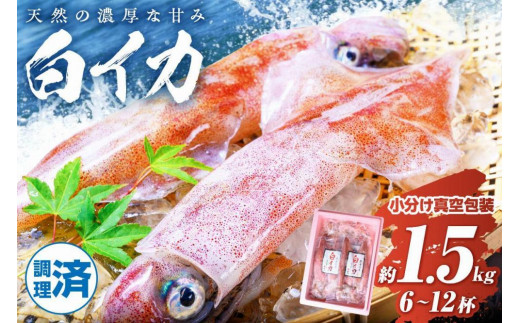 BBQに最適！ 白イカ（ケンサキイカ） 調理済み 正味1.5kg入り（6～12匹） ※小分け真空包装 海鮮 魚介 烏賊 調理済み バーベキュー 壺焼き 小分け 冷凍 ふるさと納税 イカ ふるさと納税 海鮮BBQ　UO01427