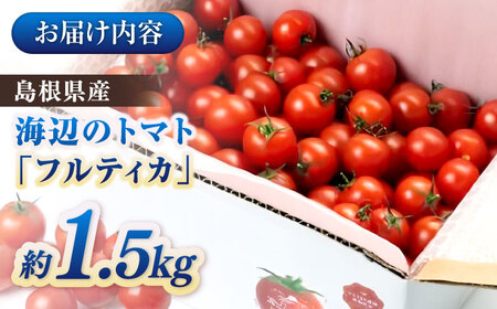 島根県産　海辺のトマトバラ　１kg　《23007-11》