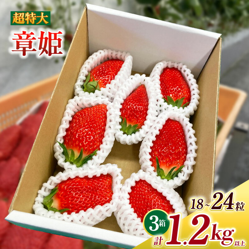 【ふるさと納税】超特大いちご (章姫) 400g以上 (6〜8粒) ×3箱 O047-38【発送期間：2025年12月1日～2026年3月31日までに発送予定】【冷蔵便】/ 果物 フルーツ 愛知県産 西尾産 国産 イチゴ いちご 苺 食品 章姫いちご 大きい 大粒 超特大 大玉 3箱 あきひめ MB
