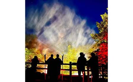 阿寒湖の森ナイトウォーク「KAMUY LUMINA (カムイルミナ)」入場券 大人2枚 体験 アクティビティ プロジェクションマッピング デジタル体験 アイヌ 文化 自然 森林浴 美容 アウトドア 自