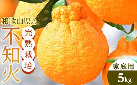 不知火（完熟栽培）15玉～28玉 約5kg 家庭用【和歌山 海南市 農園直送】