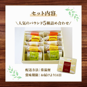 パウンドケーキ 5種 セット 計10個 お菓子 洋菓子 パウンドケーキ