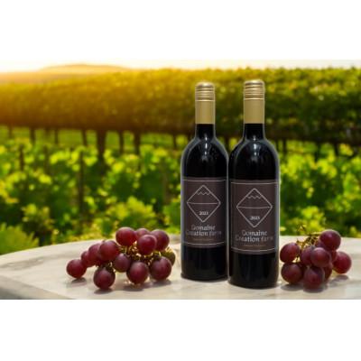 ふるさと納税 韮崎市 《数量限定》樽熟赤ワイン 750ml×2本セット　 |  | 02