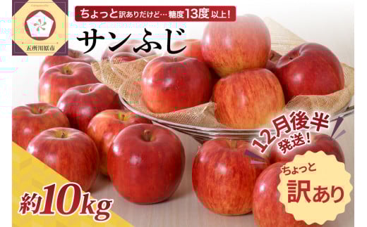 【先行受付】【2025年12月後半発送】 【訳あり】 りんご 約10kg サンふじ 青森産