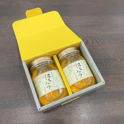 ふるさと納税 南伊勢町 国産　純粋アカシアはちみつ　500g×2本セット　三重県南伊勢町 |  | 01