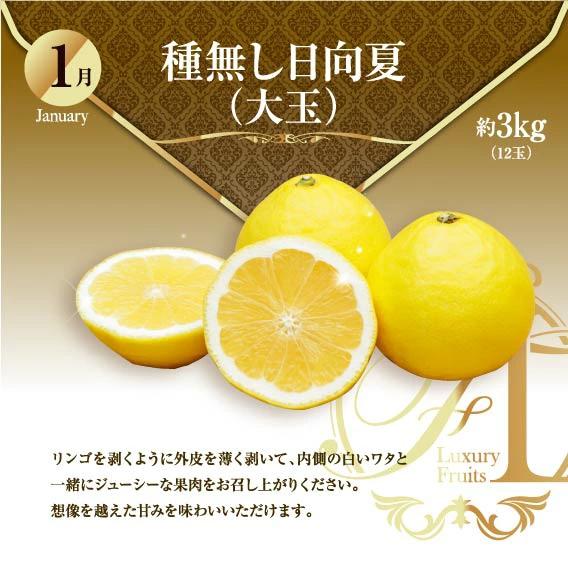 【ふるさと納税】旬のくだもの定期便 「特選コース」 全12回 マンゴー いちご マスカット 国産 宮崎【52】