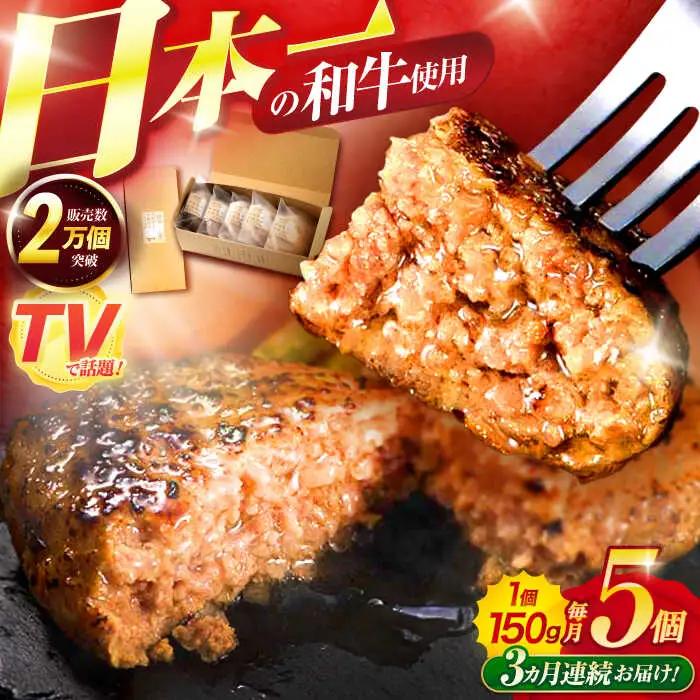 【3回定期便】ながさきふわとろハンバーグ 150g×5個入 / ハンバーグ はんばーぐ 肉 牛肉 豚肉 おかず 惣菜 定期便 / 諫早市 / ワールド・ミート有限会社 [AHBG006]